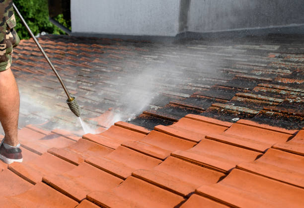 Best Roof Pressure Washing  in Penhook, VA